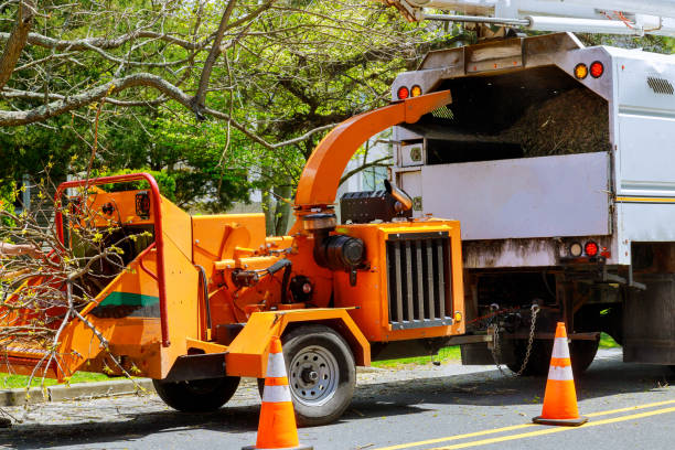 Best Stump Grinding and Removal  in Vestavia Hills, AL